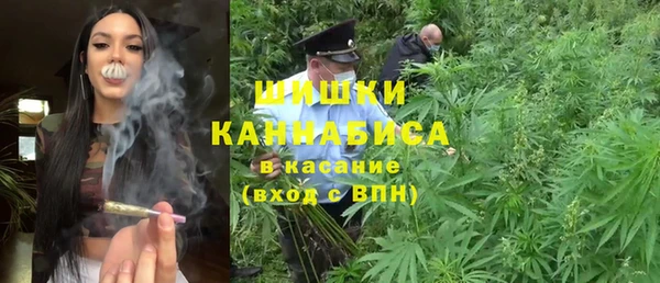 apvp Вяземский