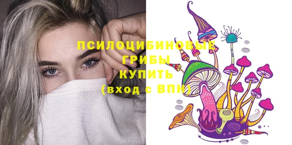 не бодяженный Арсеньев