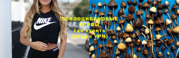 не бодяженный Арсеньев