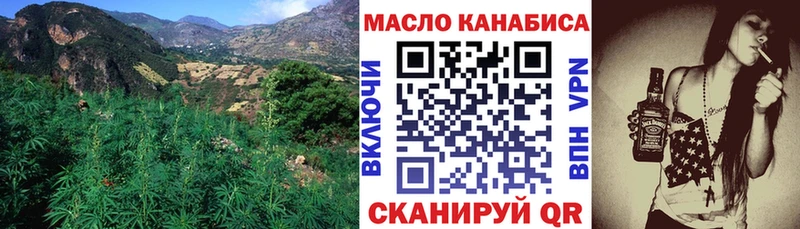 ссылка на мегу ссылки Жиздра ТГК THC oil