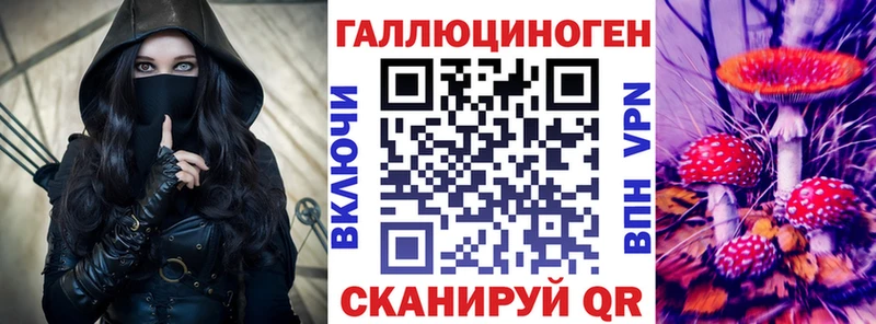 сколько стоит  Жиздра  Псилоцибиновые грибы Cubensis 